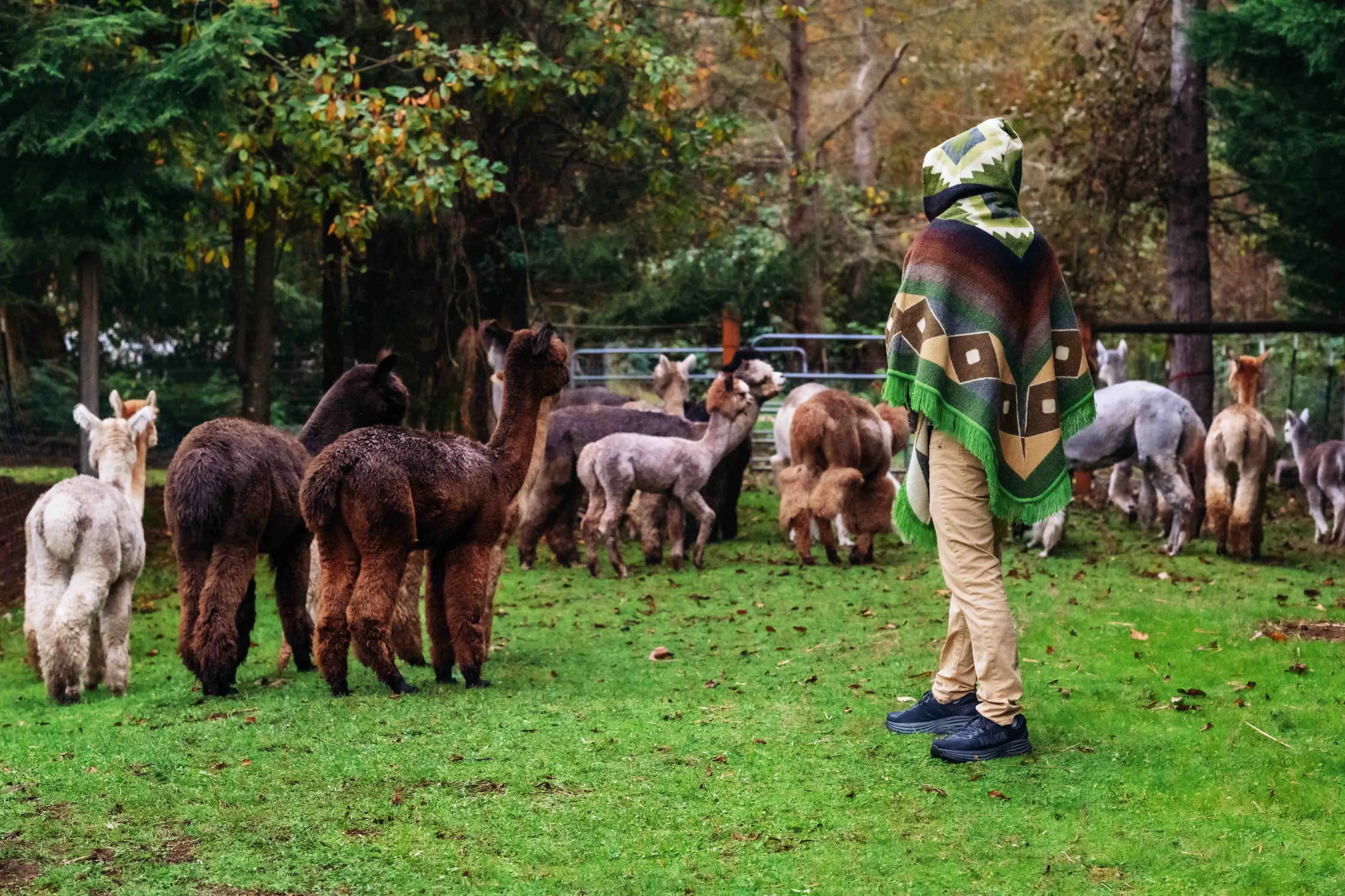 San Isidro - Oasis - Alpaca Poncho with Native Pattern Triangular Design